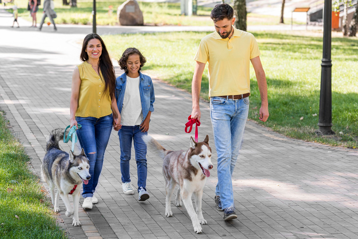HOA Dog Rules And Policies Every Dog Owner Should Know About
